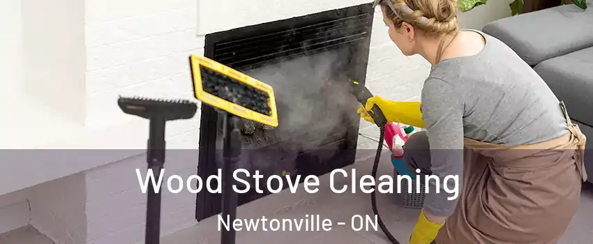  Wood Stove Cleaning Newtonville - ON