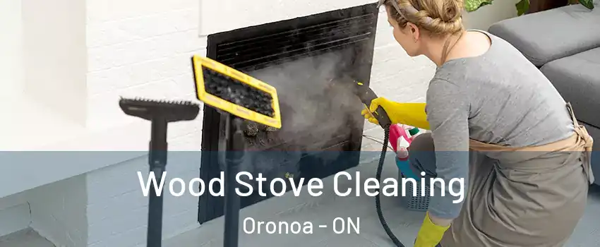  Wood Stove Cleaning Oronoa - ON
