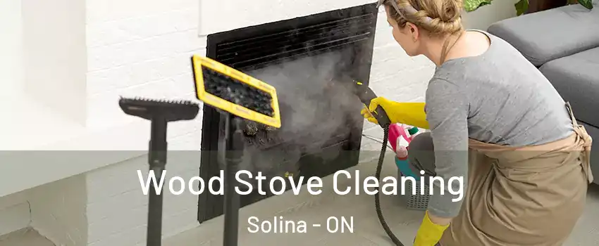  Wood Stove Cleaning Solina - ON