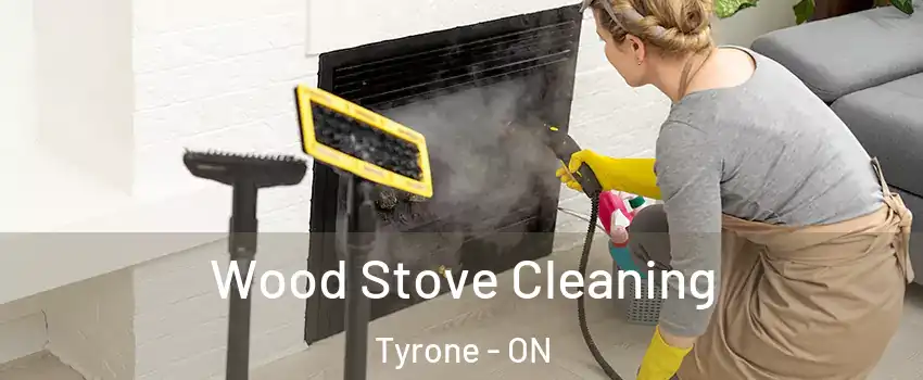  Wood Stove Cleaning Tyrone - ON